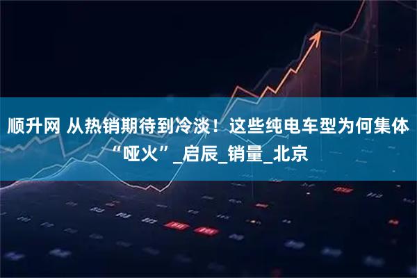 顺升网 从热销期待到冷淡！这些纯电车型为何集体“哑火”_启辰_销量_北京