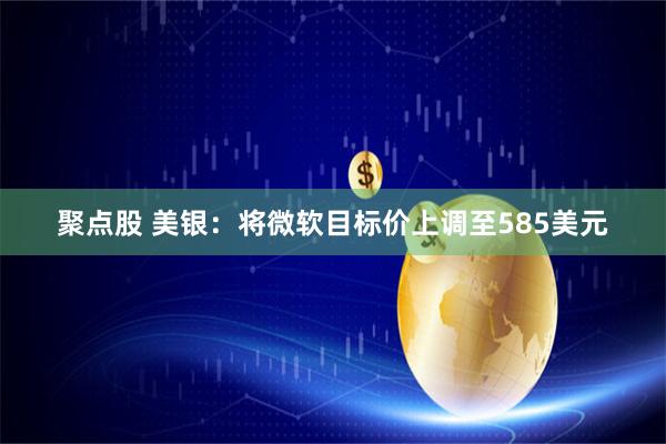 聚点股 美银：将微软目标价上调至585美元